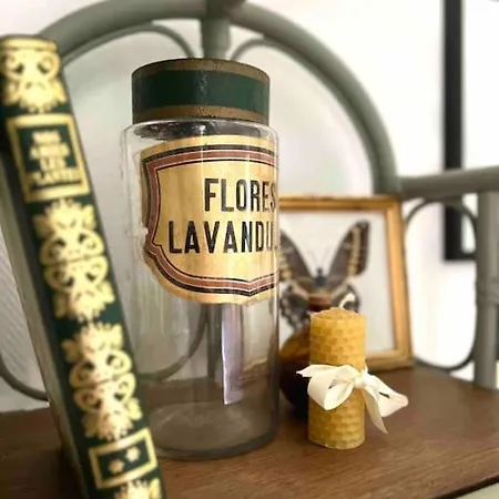 Charmante Maisonette A Ferienhaus Arconnay