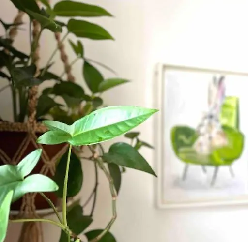 Сasa de vacaciones Charmante Maisonette A *